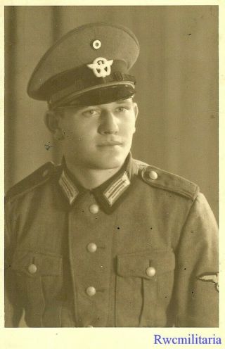 Port.  Photo: Rare Studio Close Up Pic German Elite Waffen Polizei Soldier; 1940