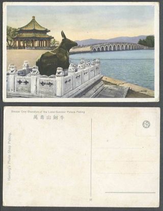 China Old Postcard Bronze Cow Lake Guardian Summer Palace 17 Holes Bridge Peking