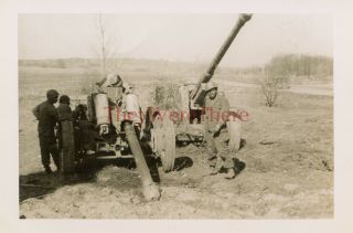 Wwii Photo - 696th E - Us African - American Gis W/ Captured German Artillery Guns