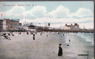 Vintage Litho Swim Brighton Beach Coney Island Brooklyn York Old Postcard