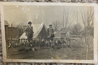 Old Real Photo Duck Hunting Azo Hunters With Ducks Bird Dogs Old Postcard