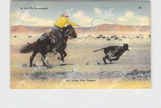 Ppc Postcard Az Arizona Cowboy Roping Calf The Old Southwest Get Along Little Do