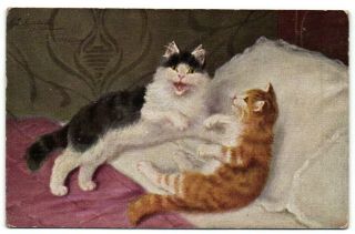 Sperlich Signed 2 Cats On Bed Old Artist Postcard 1924