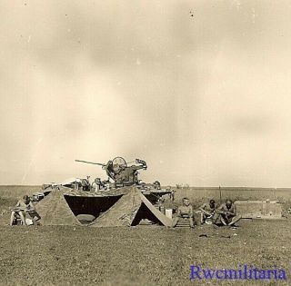 Fantastic German Troops W/ Camo Tents By Sdkfz 10/2 2cm Flak Halftrack In Field