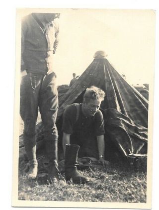 German Ww2 Photo Soldier Looks Awful After Just Waking Up In Camo Tent Great C57