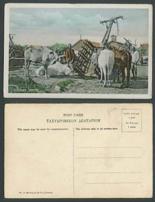 India Old Colour Postcard Village Scene Cattle Animals Native Indian Men And Boy