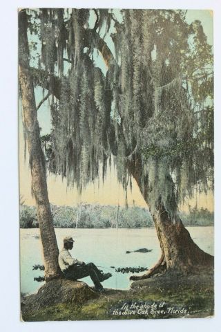 Old Postcard In The Shade Of The Live Oak Tree,  Florida,  Fishing Black Americana
