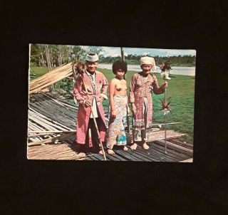 Dayaks,  Young And Old; Sarawak C1960 Postcard; Unused; Young Girl And 2 Chiefs