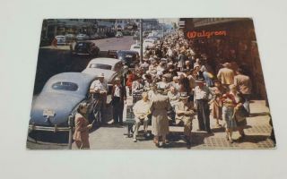 1950 St Petersburg Florida Fl Street Scene People Walgreens Old Cars Downtown