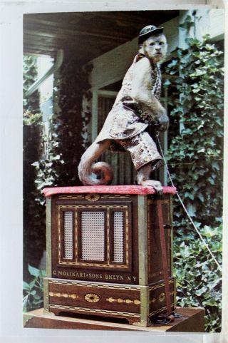 Jersey Nj Mt Holly Bozo Organ Grinder Monkey Postcard Old Vintage Card View