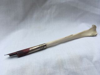 Bone Handled Ink Pen