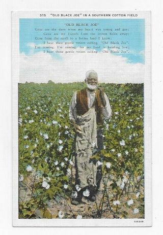 Black Americana Man In Cotton Field Old Black Joe Song Post Card 3707
