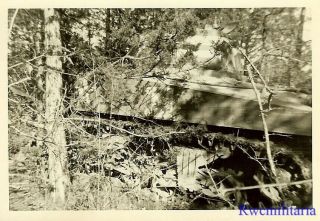 Port.  Photo: Great Us M4 Sherman Tank Parked In Woods