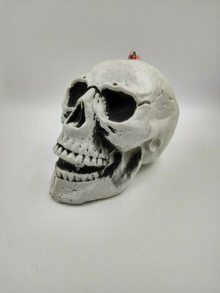 Hanging Skull Plastic Life Size Hanging Head For Halloween Decorations