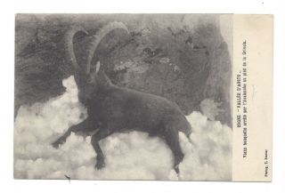 Vintage Postcard Cogne 