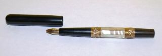 Vintage Mother Of Pearl Eyedropper Fountain Pen 1920 