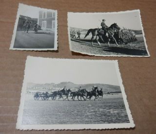 3 Wwii German Soldiers Bicycle Horses Bike Photographs Ww2 Foto 39