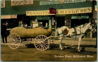 1910s Old Orchard,  Maine Postcard " Peanutine Wagon " Horse - Drawn / Street Scene