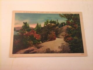 Vtg 1930 - 1945 Linen Postcard Bald Mountain & Warden 