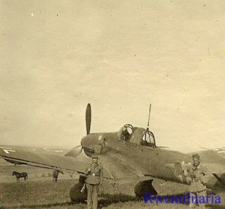 Best Wehrmacht Troops Posed W/ Luftwaffe Ju - 87 Stuka Bomber In Field