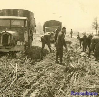 Slow Going Wehrmacht Troops Clear Path For Lkw Trucks In Russian Field