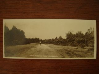 Old Vintage Rppc Photo Odd Size Postcard Roeding Park Bicycle Fresno Ca