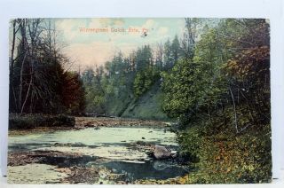 Pennsylvania Pa Erie Wintergreen Gulch Postcard Old Vintage Card View Standard