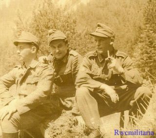 Scenic Buddy Pose By Trio Gebirgsjäger Soldiers Resting In Field