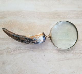 Vintage Brass Magnifying Glass With Natural Colored Horn Handle 10”