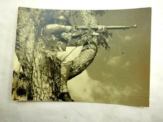 Vintage Photo Of A Sniper Soldier In Tree With 1903 Springfield Rifle 5 " X 7 "