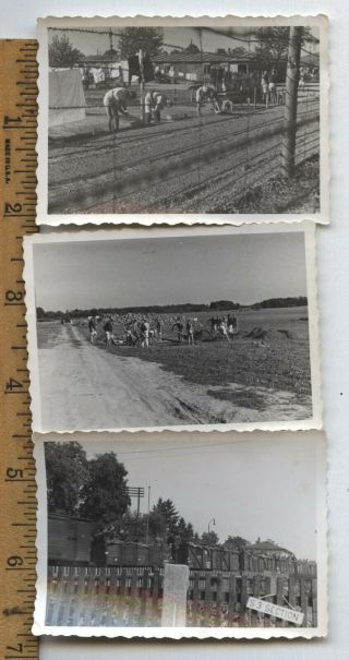 3 1945 Ww2 Photos Snapshot German Prisoners Internment Camp Pow Germany