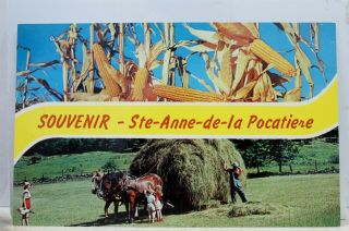 Canada Quebec Ste Anne De La Pocatiere Postcard Old Vintage Card View Standard