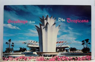 Nevada Nv Las Vegas Tropicana Hotel Postcard Old Vintage Card View Standard Post