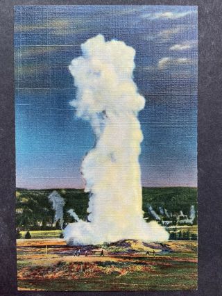 Old Faithful By Moonlight,  Yellowstone National Park,  Vintage Linen Postcard