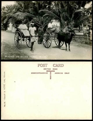 Ceylon Old Real Photo Postcard Rickshaw Bullock Hackery Cart Native Coolie Woman