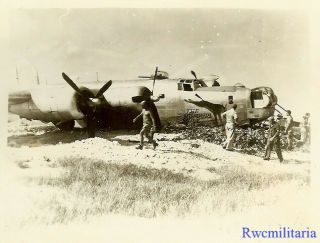 Org.  Nose Art Photo: B - 24 Bomber 