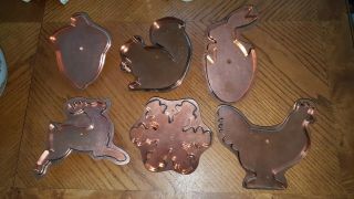 Martha By Mail 6 Giant Copper Cookie Cutters Mighty Acorn Sugar Squirrel Etc