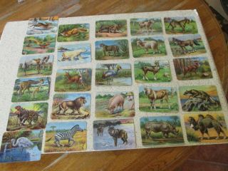 26 Antique 1890s German Trade Cards,  " Animals " Full Color Chromolithographs
