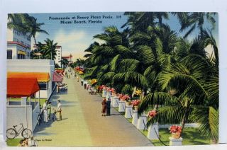 Florida Fl Miami Beach Roney Plaza Pools Promenade Postcard Old Vintage Card Pc
