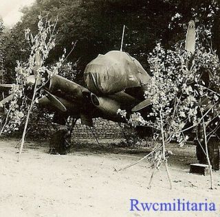 Best Luftwaffe Ju - 88 Bomber Parked On Airfield Under Foliage