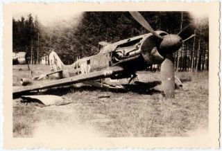 W29 Authentic Wwii Photo & 1000 Scans German Luftwaffe