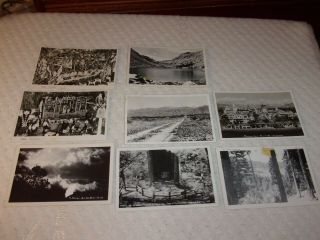 8 Old Real Photo Black & White Postcards California Hawaii