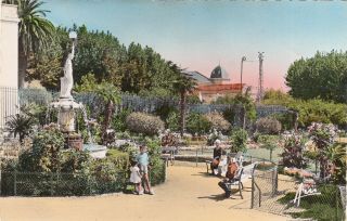 Carte Postale Ancienne Old Postcard HyÈres Les Palmiers Jardins Mairie Timb 1956