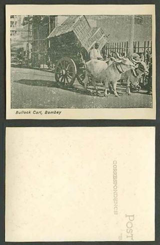 India Indian Old Small Card Bullock Cart Bombay Native Driver Street Scene,  Oxen