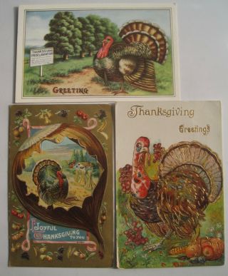 3 Old 1910s Thanksgiving Postcards With Turkey; Proclamation,