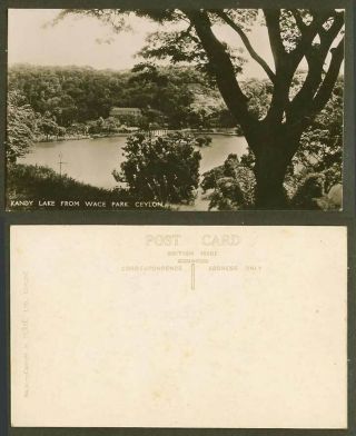 Ceylon Old Real Photo Postcard Kandy Lake From Wace Park Panorama Sri Lanka N.  31