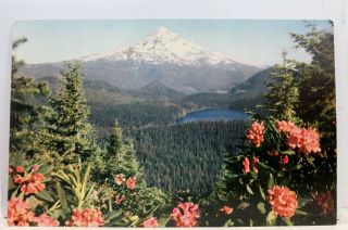 Oregon Or Mt Hood Lost Lake Postcard Old Vintage Card View Standard Souvenir Pc