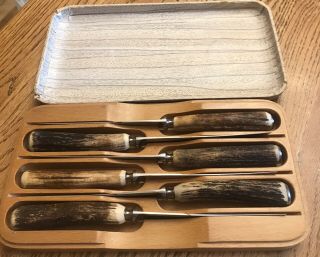 6 Stag Horn Lewis Rose Co.  Sheffield Steak Knives In Wood Case