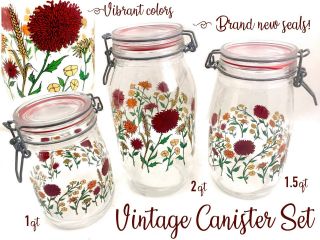 Vtg Apothecary Jar Glass 3 Canisters Set Floral Hermetic Storage Arc Seals
