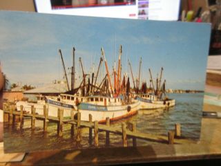 Vintage Old Postcard Florida Fort Ft Myers Beach Shrimp Boats Coral Clipper King